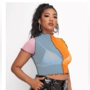 Plus Colorblock Seam Front Sheer Mesh Top